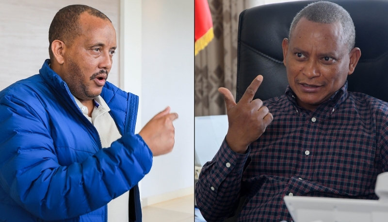 Getachew Reda, le 7 novembre 2022 à Nairobi, et Debretsion Gebremichael, le 8 juin 2019 à Mekele.