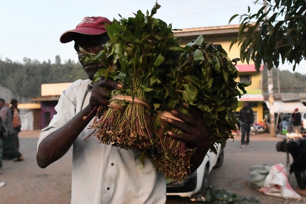 Un vendeur de Khat sur un marché à Maua (Kenya).