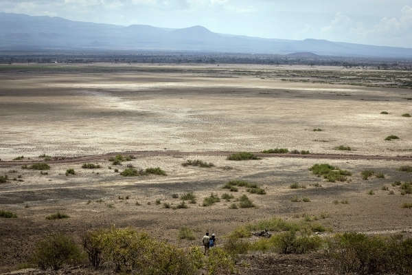 La sécheresse frappe durement le Kenya. Ici, le parc national d'Amboseli, le 18 décembre.